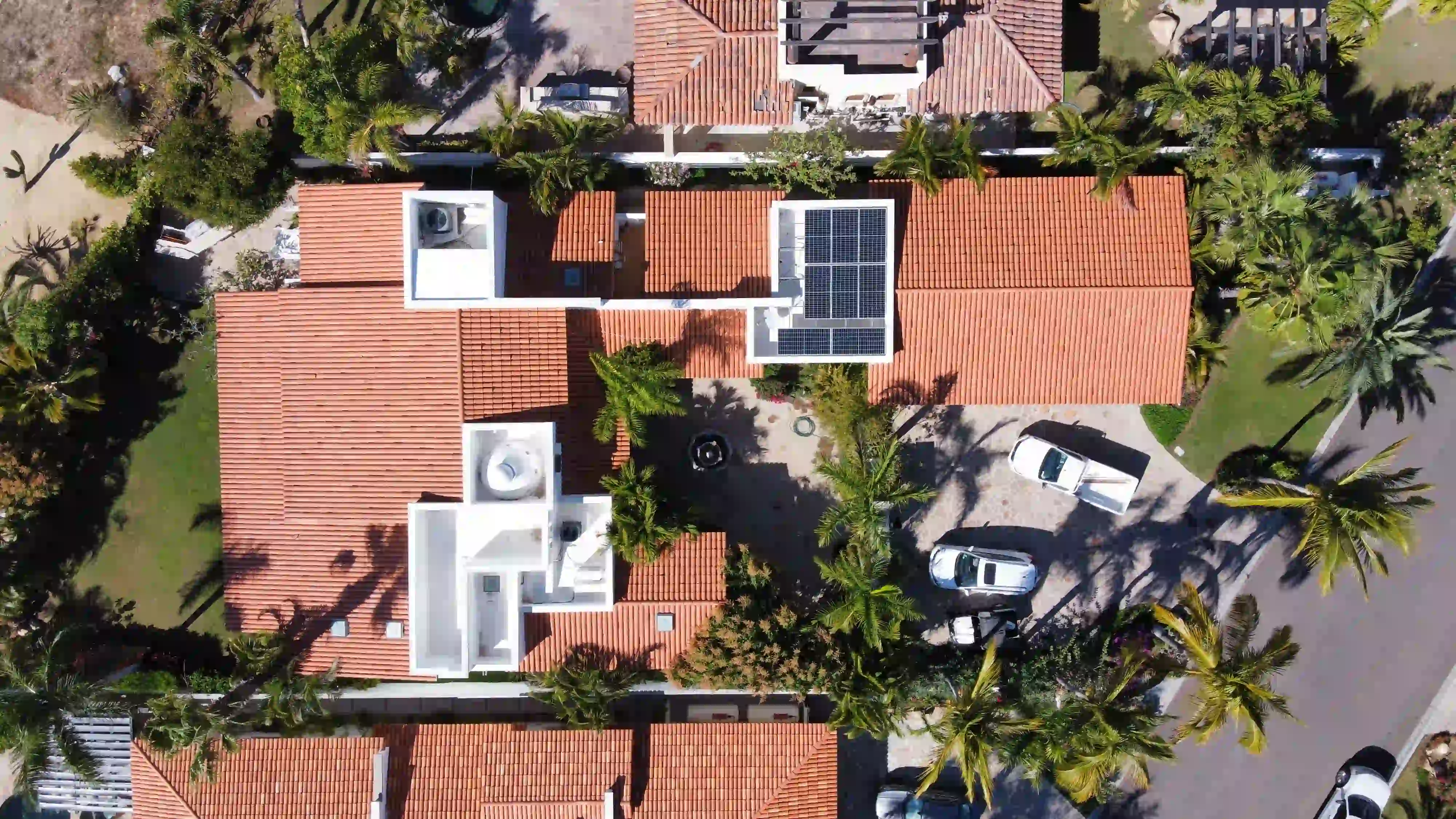 Palmilla - Galería del proyecto 16